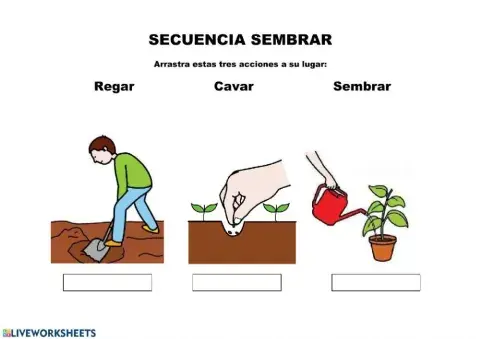 Secuencia sembrar