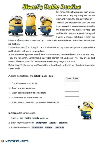 Stuart's daily routine