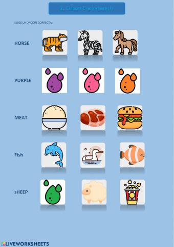 Colours Everywhere (2)