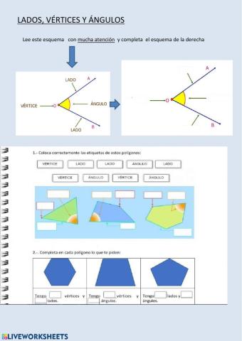 Lado,ángulo, vértice