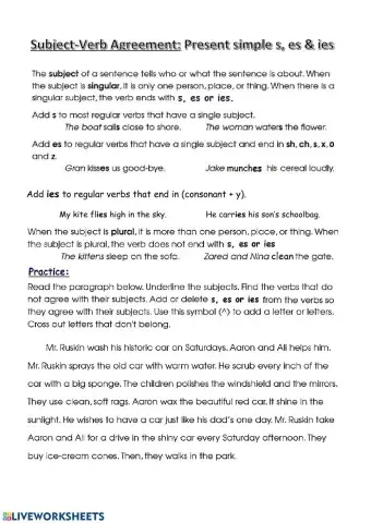 Subject verb agreement