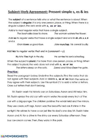 Subject verb agreement