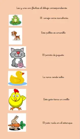 Comprension de frases