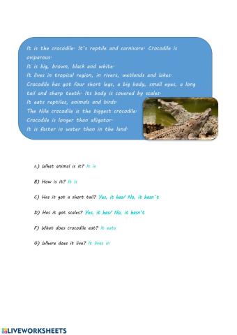 Reading comprehension