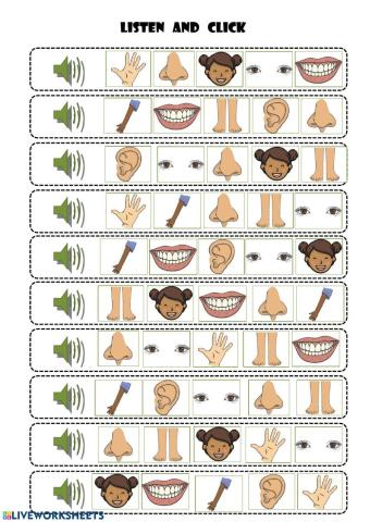 Parts of the Body