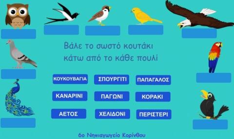 πουλια και λεξεις