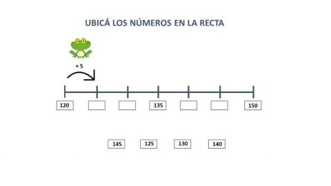 RECTA NUMERICA 5 en 5 corta