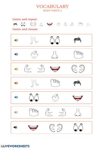 Vocabulary - Body Parts 2
