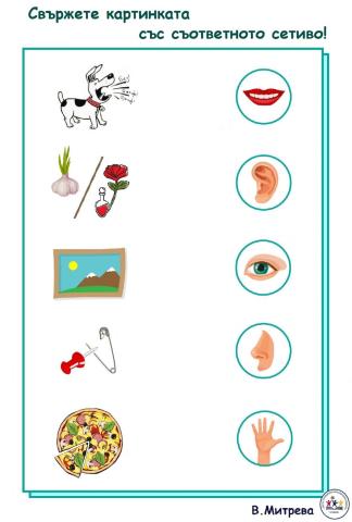 Свържете картинката със съответното сетиво!