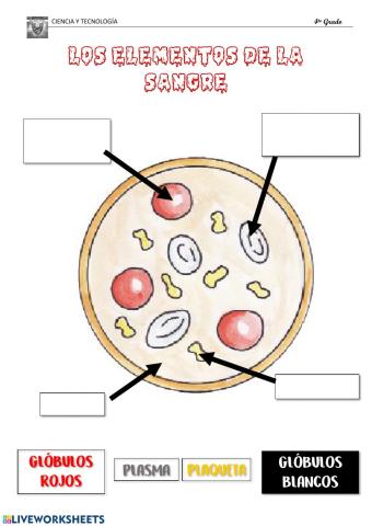 Elementos de la sangre