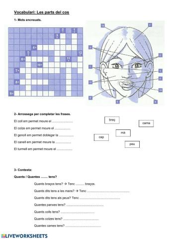 2.3-el-cos-vocabulari-2