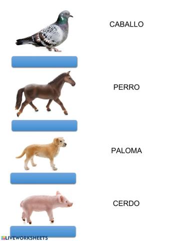 Animales 3