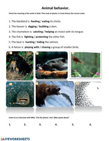 Animal behaviour. EP1. Unit 4.(pg.42)