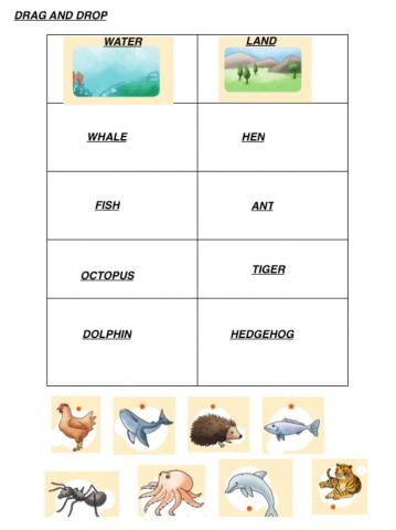 Land and water animals