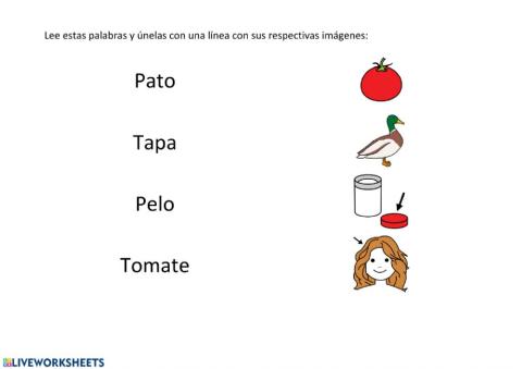 Lectura palabras P, M, L y T