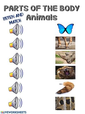 Parts of the body of the animals