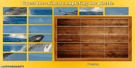 Animal puzzles