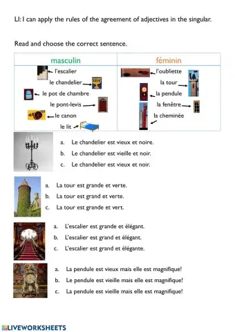 French adjective agreement singular