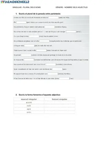 Singular i plural dels noms. Gènere i nombre dels adjectius