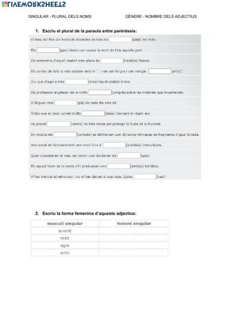 Singular i plural dels noms. Gènere i nombre dels adjectius