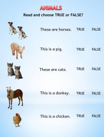 True or False? (Animals- This is - These are)