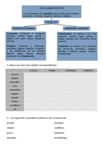 Nombres individual colectivo
