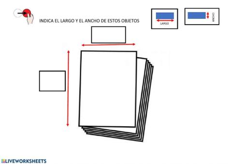 Largo y ancho