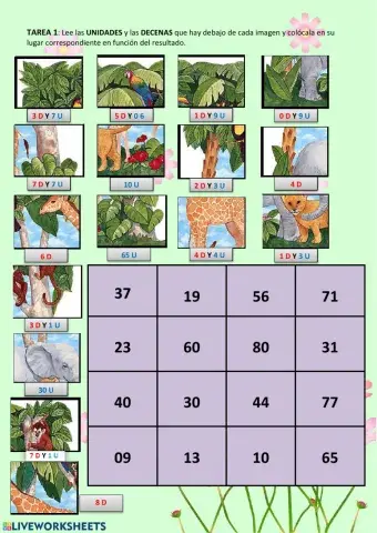 Unidades y decenas puzzle