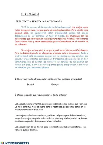 EL RESUMEN actividades