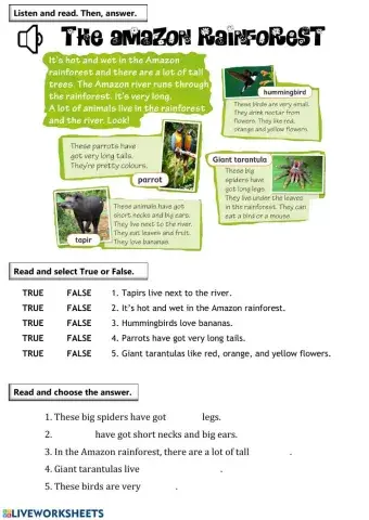 Amazon Rainforest Reading Comprehension