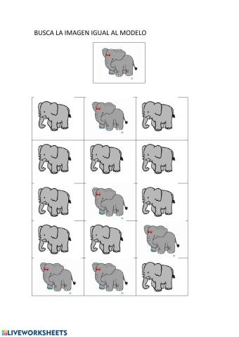 Imágnes iguales al modelo (elefante)