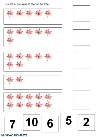 Cuenta las hojas de otoño que se cayeron del árbol