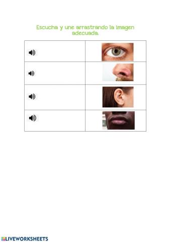 Face parts