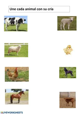 Une cada animal con su cría