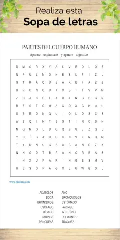Sopa de letras