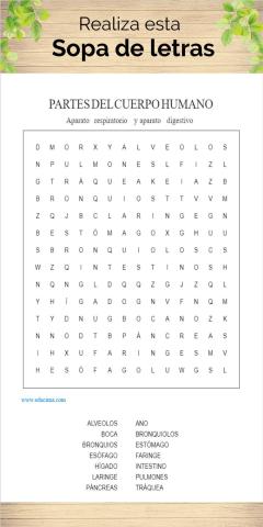 Sopa de letras