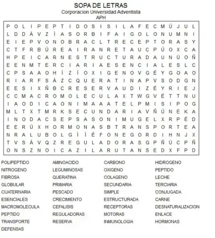 Sopa de letras LAS PROTEINAS