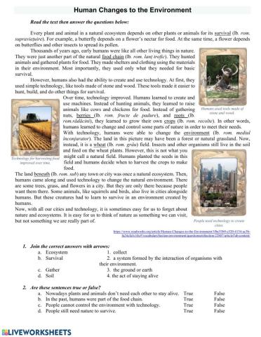 Human Changes to the Environment