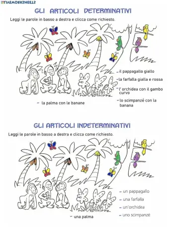 Articoli determinativi e indeterminativi