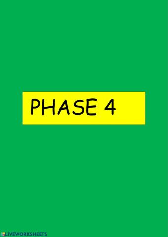 Phase 4