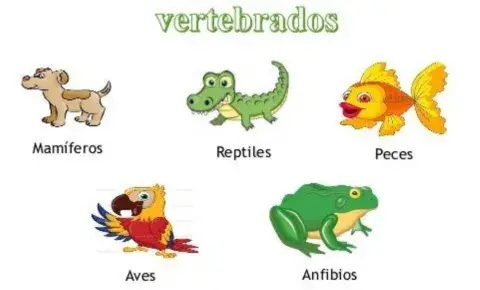 Animales vertebrados
