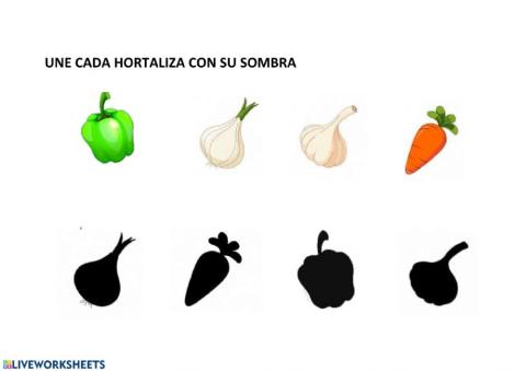 HORTALIZAS Y SOMBRAS