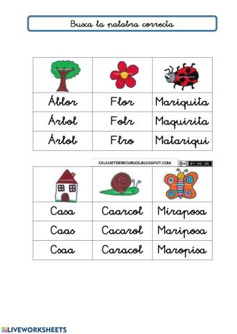 BUSCA LA PALABRA CORRECTA (ENTORNO2)