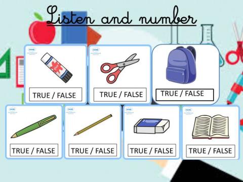 Classroom Objects true or false