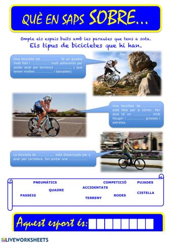 Que saps sobre... Ciclismo 04