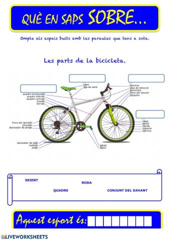 Que saps sobre... Ciclismo 05