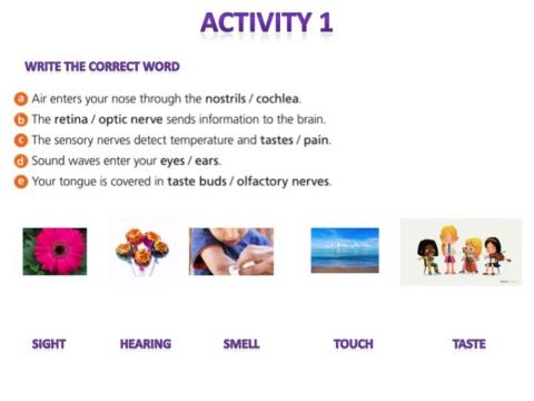 Unit 2 Five senses