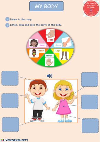 The parts of my body