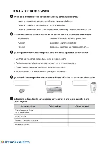 6º Natural ScienceTEST 5