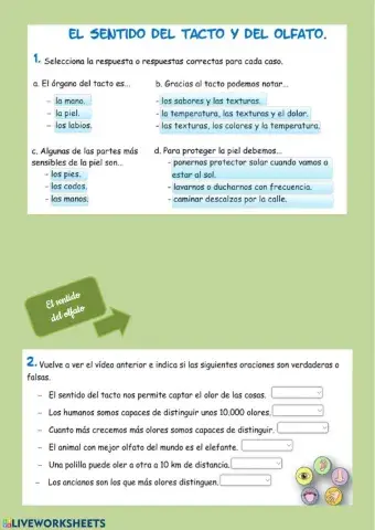 Tacto, olfato y gusto